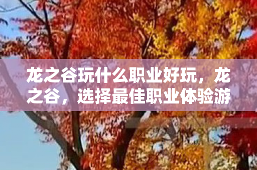 龙之谷玩什么职业好玩,龙之谷,选择最佳职业体验游戏乐趣 龙之谷玩什么职业好玩,龙之谷,选择最佳职业体验游戏乐趣