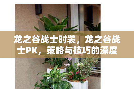 龙之谷战士时装,龙之谷战士PK,策略与技巧的深度解析 龙之谷战士时装,龙之谷战士PK,策略与技巧的深度解析