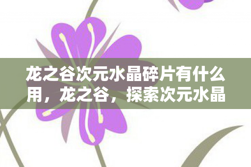 龙之谷次元水晶碎片有什么用，龙之谷，探索次元水晶碎片的神秘之旅