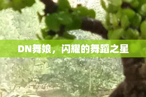 DN舞娘,闪耀的舞蹈之星 DN舞娘,闪耀的舞蹈之星
