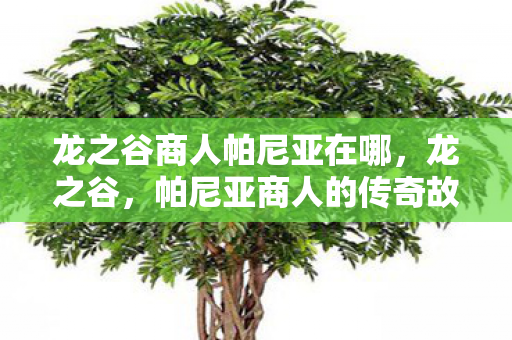 龙之谷商人帕尼亚在哪,龙之谷,帕尼亚商人的传奇故事 龙之谷商人帕尼亚在哪,龙之谷,帕尼亚商人的传奇故事