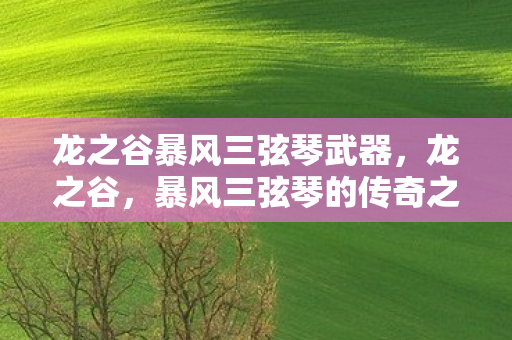 龙之谷暴风三弦琴武器,龙之谷,暴风三弦琴的传奇之旅 龙之谷暴风三弦琴武器,龙之谷,暴风三弦琴的传奇之旅