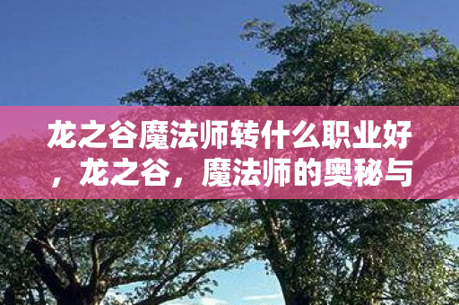 龙之谷魔法师转什么职业好,龙之谷,魔法师的奥秘与力量 龙之谷魔法师转什么职业好,龙之谷,魔法师的奥秘与力量