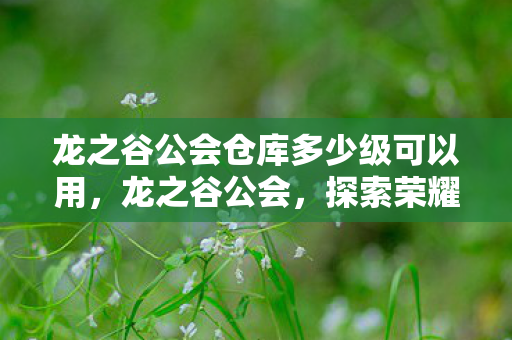 龙之谷公会仓库多少级可以用,龙之谷公会,探索荣耀与传奇的集结之地 龙之谷公会仓库多少级可以用,龙之谷公会,探索荣耀与传奇的集结之地