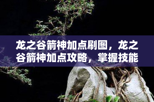 龙之谷箭神加点刷图,龙之谷箭神加点攻略,掌握技能,成为顶尖箭神! 龙之谷箭神加点刷图,龙之谷箭神加点攻略,掌握技能,成为顶尖箭神!