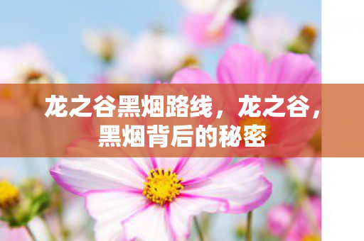 龙之谷黑烟路线，龙之谷，黑烟背后的秘密