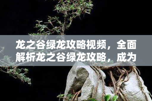 龙之谷绿龙攻略视频,全面解析龙之谷绿龙攻略,成为征服龙界的高手 龙之谷绿龙攻略视频,全面解析龙之谷绿龙攻略,成为征服龙界的高手