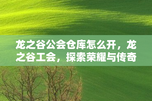 龙之谷公会仓库怎么开,龙之谷工会,探索荣耀与传奇的集结地 龙之谷公会仓库怎么开,龙之谷工会,探索荣耀与传奇的集结地
