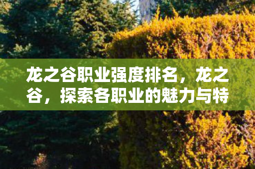 龙之谷职业强度排名,龙之谷,探索各职业的魅力与特色 龙之谷职业强度排名,龙之谷,探索各职业的魅力与特色