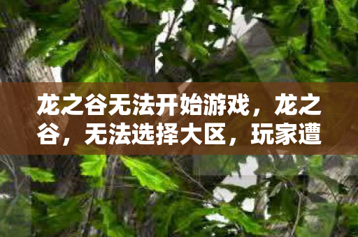 龙之谷无法开始游戏,龙之谷,无法选择大区,玩家遭遇的困境与解决方案 龙之谷无法开始游戏,龙之谷,无法选择大区,玩家遭遇的困境与解决方案