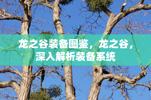 龙之谷装备图鉴,龙之谷,深入解析装备系统 龙之谷装备图鉴,龙之谷,深入解析装备系统