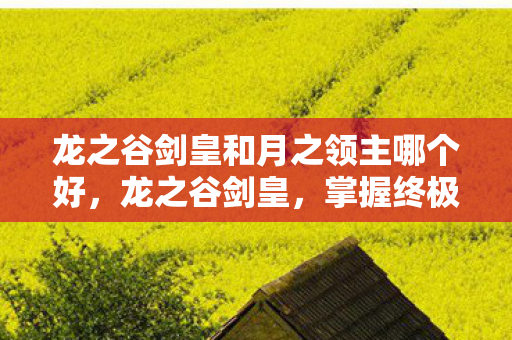 龙之谷剑皇和月之领主哪个好,龙之谷剑皇,掌握终极力量的传奇英雄 龙之谷剑皇和月之领主哪个好,龙之谷剑皇,掌握终极力量的传奇英雄