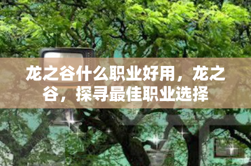 龙之谷什么职业好用,龙之谷,探寻最佳职业选择 龙之谷什么职业好用,龙之谷,探寻最佳职业选择