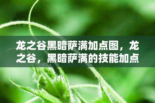 龙之谷黑暗萨满加点图,龙之谷,黑暗萨满的技能加点策略 龙之谷黑暗萨满加点图,龙之谷,黑暗萨满的技能加点策略