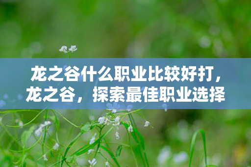 龙之谷什么职业比较好打,龙之谷,探索最佳职业选择之旅 龙之谷什么职业比较好打,龙之谷,探索最佳职业选择之旅