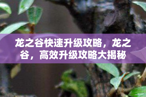 龙之谷快速升级攻略,龙之谷,高效升级攻略大揭秘 龙之谷快速升级攻略,龙之谷,高效升级攻略大揭秘