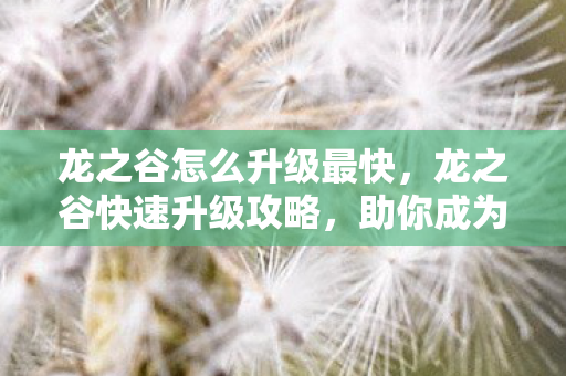 龙之谷怎么升级最快,龙之谷快速升级攻略,助你成为顶尖玩家! 龙之谷怎么升级最快,龙之谷快速升级攻略,助你成为顶尖玩家!
