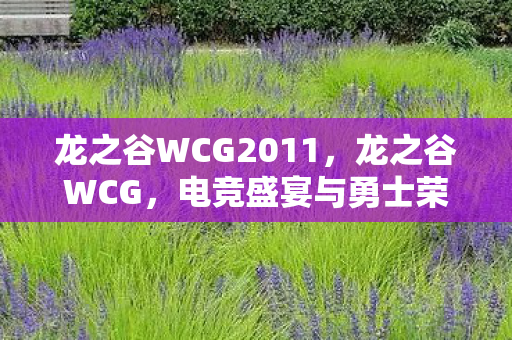 龙之谷WCG2011，龙之谷WCG，电竞盛宴与勇士荣耀的交汇点