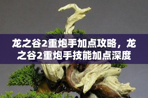 龙之谷2重炮手加点攻略，龙之谷2重炮手技能加点深度解析与攻略