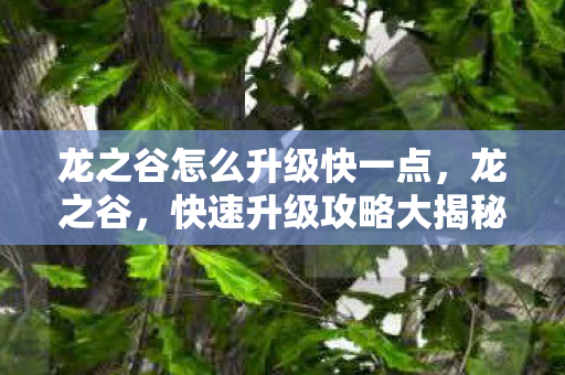 龙之谷怎么升级快一点,龙之谷,快速升级攻略大揭秘 龙之谷怎么升级快一点,龙之谷,快速升级攻略大揭秘