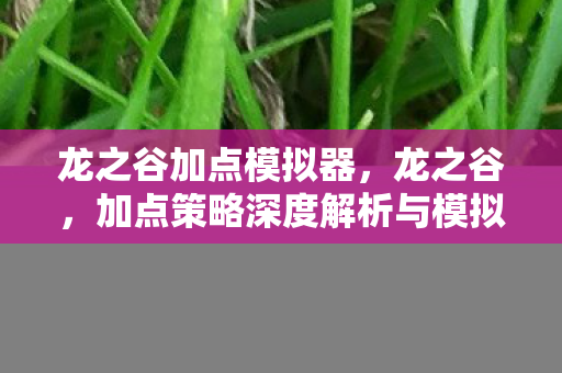龙之谷加点模拟器,龙之谷,加点策略深度解析与模拟探索 龙之谷加点模拟器,龙之谷,加点策略深度解析与模拟探索