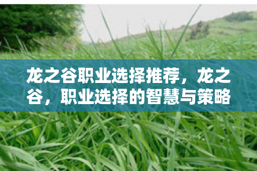 龙之谷职业选择推荐,龙之谷,职业选择的智慧与策略 龙之谷职业选择推荐,龙之谷,职业选择的智慧与策略