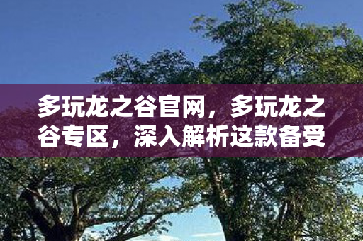 多玩龙之谷官网,多玩龙之谷专区,深入解析这款备受欢迎的网游 多玩龙之谷官网,多玩龙之谷专区,深入解析这款备受欢迎的网游