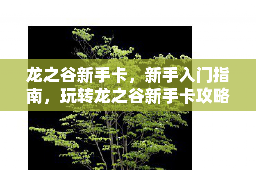 龙之谷新手卡,新手入门指南,玩转龙之谷新手卡攻略 龙之谷新手卡,新手入门指南,玩转龙之谷新手卡攻略