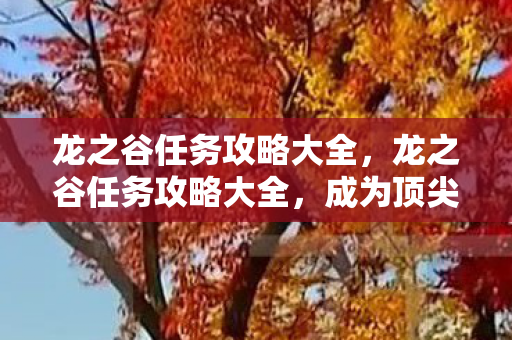 龙之谷任务攻略大全,龙之谷任务攻略大全,成为顶尖勇士的必经之路 龙之谷任务攻略大全,龙之谷任务攻略大全,成为顶尖勇士的必经之路