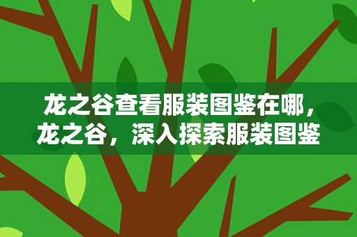 龙之谷查看服装图鉴在哪,龙之谷,深入探索服装图鉴的奥秘 龙之谷查看服装图鉴在哪,龙之谷,深入探索服装图鉴的奥秘