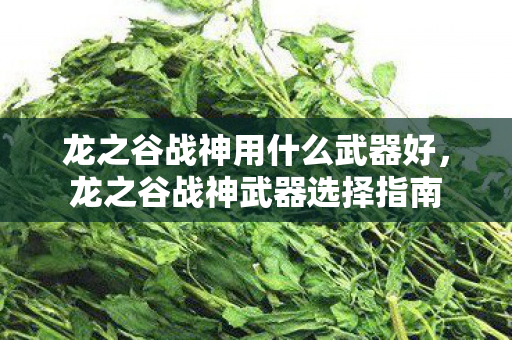 龙之谷战神用什么武器好,龙之谷战神武器选择指南 龙之谷战神用什么武器好,龙之谷战神武器选择指南