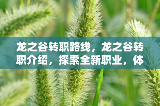 龙之谷转职路线,龙之谷转职介绍,探索全新职业,体验无尽冒险 龙之谷转职路线,龙之谷转职介绍,探索全新职业,体验无尽冒险