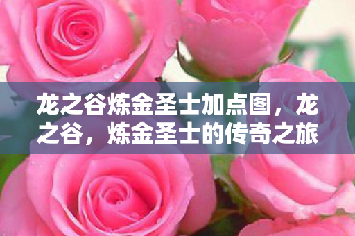 龙之谷炼金圣士加点图,龙之谷,炼金圣士的传奇之旅 龙之谷炼金圣士加点图,龙之谷,炼金圣士的传奇之旅