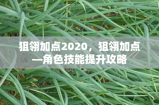 狙翎加点2020,狙翎加点—角色技能提升攻略 狙翎加点2020,狙翎加点—角色技能提升攻略