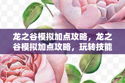 龙之谷模拟加点攻略,龙之谷模拟加点攻略,玩转技能点分配,成为真正的谷中霸主! 龙之谷模拟加点攻略,龙之谷模拟加点攻略,玩转技能点分配,成为真正的谷中霸主!