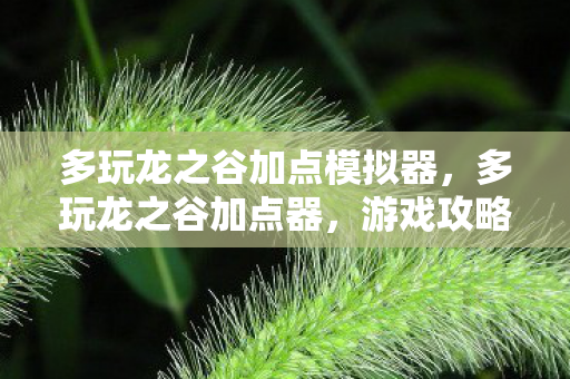 多玩龙之谷加点模拟器,多玩龙之谷加点器,游戏攻略与技能配置建议 多玩龙之谷加点模拟器,多玩龙之谷加点器,游戏攻略与技能配置建议