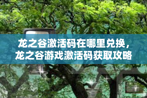 龙之谷激活码在哪里兑换,龙之谷游戏激活码获取攻略与解析 龙之谷激活码在哪里兑换,龙之谷游戏激活码获取攻略与解析