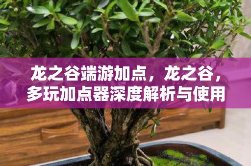 龙之谷端游加点,龙之谷,多玩加点器深度解析与使用指南 龙之谷端游加点,龙之谷,多玩加点器深度解析与使用指南