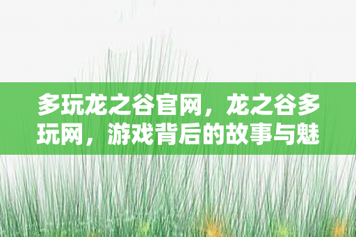 多玩龙之谷官网，龙之谷多玩网，游戏背后的故事与魅力