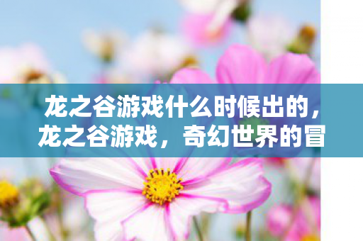 龙之谷游戏什么时候出的，龙之谷游戏，奇幻世界的冒险之旅