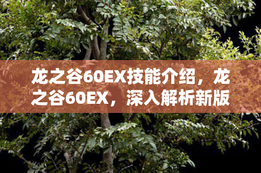 龙之谷60EX技能介绍,龙之谷60EX,深入解析新版本带来的变革与挑战 龙之谷60EX技能介绍,龙之谷60EX,深入解析新版本带来的变革与挑战