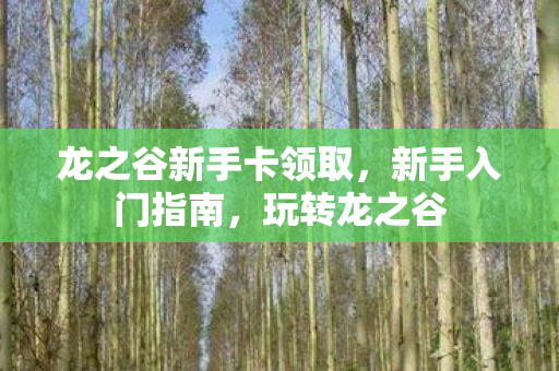 龙之谷新手卡领取,新手入门指南,玩转龙之谷 龙之谷新手卡领取,新手入门指南,玩转龙之谷