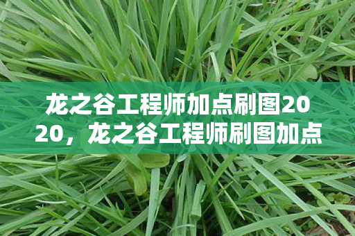 龙之谷工程师加点刷图2020,龙之谷工程师刷图加点攻略,打造高效输出机器 龙之谷工程师加点刷图2020,龙之谷工程师刷图加点攻略,打造高效输出机器