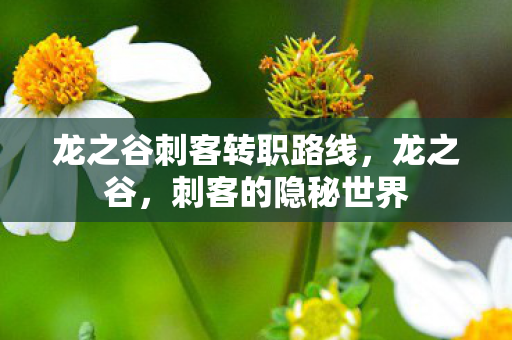 龙之谷刺客转职路线,龙之谷,刺客的隐秘世界 龙之谷刺客转职路线,龙之谷,刺客的隐秘世界