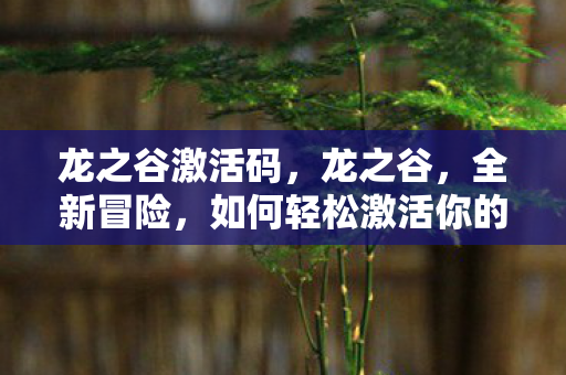 龙之谷激活码,龙之谷,全新冒险,如何轻松激活你的游戏之旅? 龙之谷激活码,龙之谷,全新冒险,如何轻松激活你的游戏之旅?