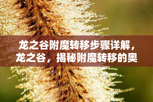 龙之谷附魔转移步骤详解,龙之谷,揭秘附魔转移的奥秘与实战攻略 龙之谷附魔转移步骤详解,龙之谷,揭秘附魔转移的奥秘与实战攻略