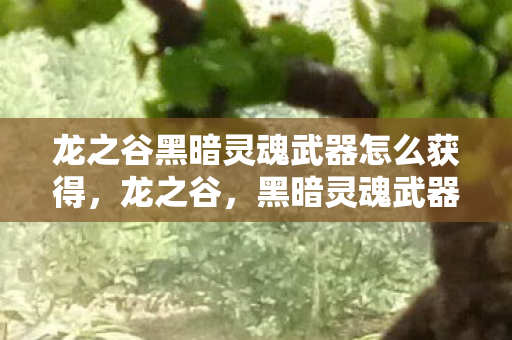 龙之谷黑暗灵魂武器怎么获得,龙之谷,黑暗灵魂武器的神秘面纱 龙之谷黑暗灵魂武器怎么获得,龙之谷,黑暗灵魂武器的神秘面纱