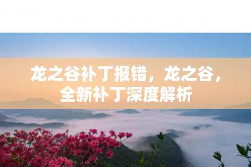 龙之谷补丁报错，龙之谷，全新补丁深度解析