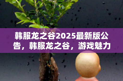 韩服龙之谷2025最新版公告,韩服龙之谷,游戏魅力与独特体验 韩服龙之谷2025最新版公告,韩服龙之谷,游戏魅力与独特体验