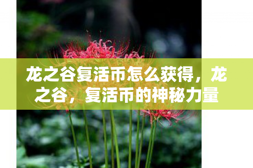 龙之谷复活币怎么获得,龙之谷,复活币的神秘力量 龙之谷复活币怎么获得,龙之谷,复活币的神秘力量